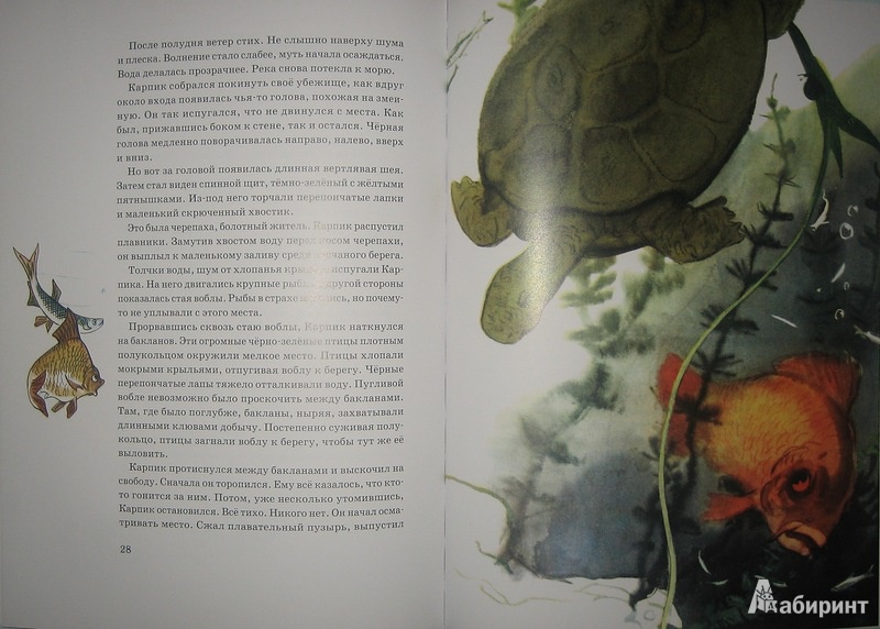 Иллюстрация 17 из 65 для Приключения Карпика - Андрей Клыков | Лабиринт - книги. Источник: Трухина Ирина