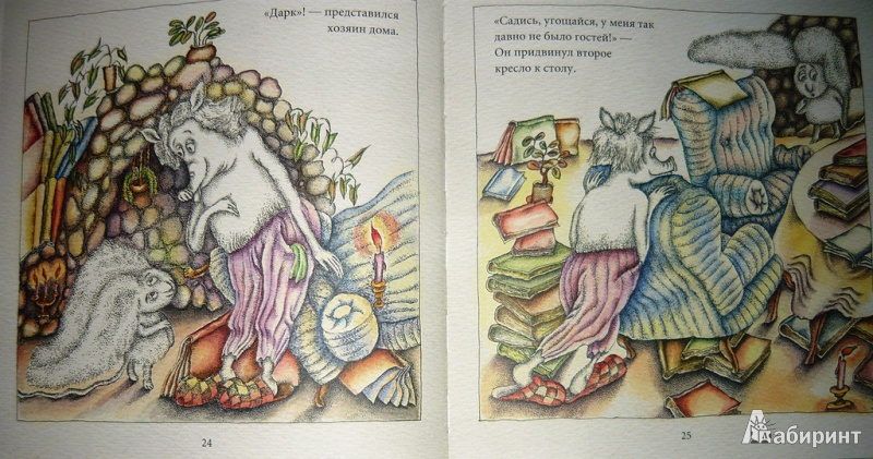 Иллюстрация 15 из 60 для Тайна огорода Снурри - Лидия Шульгина | Лабиринт - книги. Источник: Ромашка:-)
