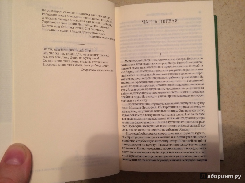 Иллюстрация 15 из 24 для Тихий Дон - Михаил Шолохов | Лабиринт - книги. Источник: terramisu