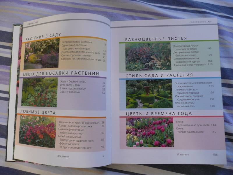 Иллюстрация 8 из 12 для Идеальные растения для вашего сада - Хаген, Борстель | Лабиринт - книги. Источник: КалинаМалина