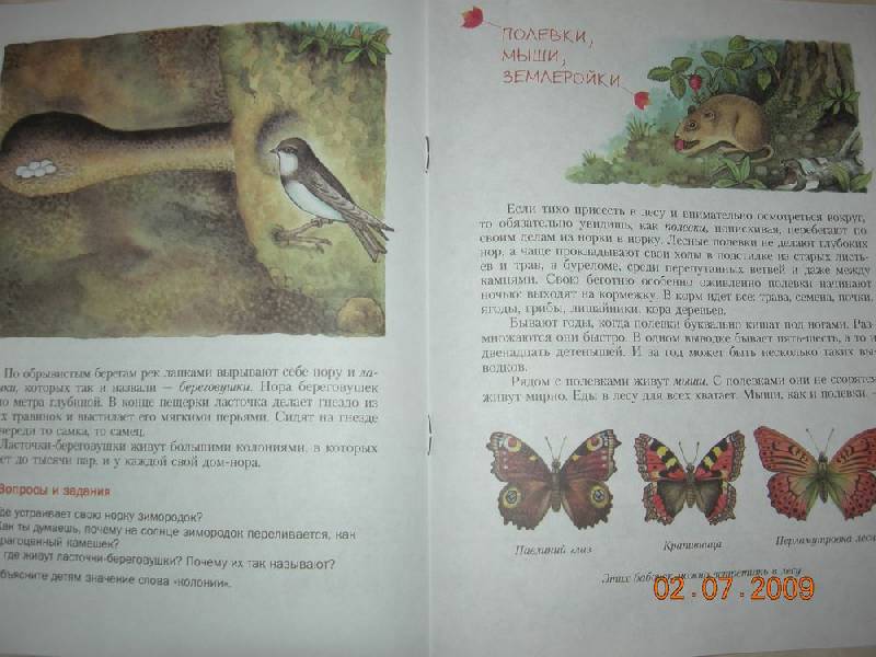 Иллюстрация 9 из 38 для Кто в лесной норе живет?: книга для чтения детям - Александр Тамбиев | Лабиринт - книги. Источник: Соловей