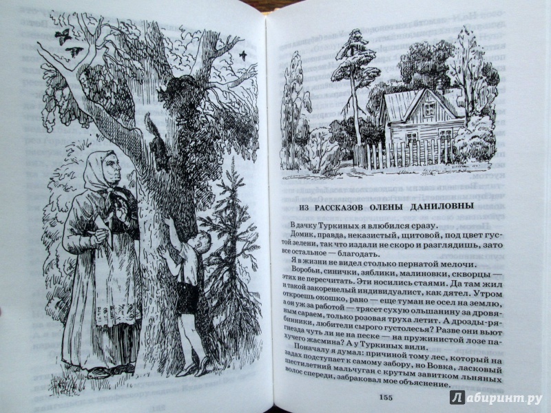 Иллюстрация 12 из 54 для О чем плачут лошади - Федор Абрамов | Лабиринт - книги. Источник: Зеленая шляпа