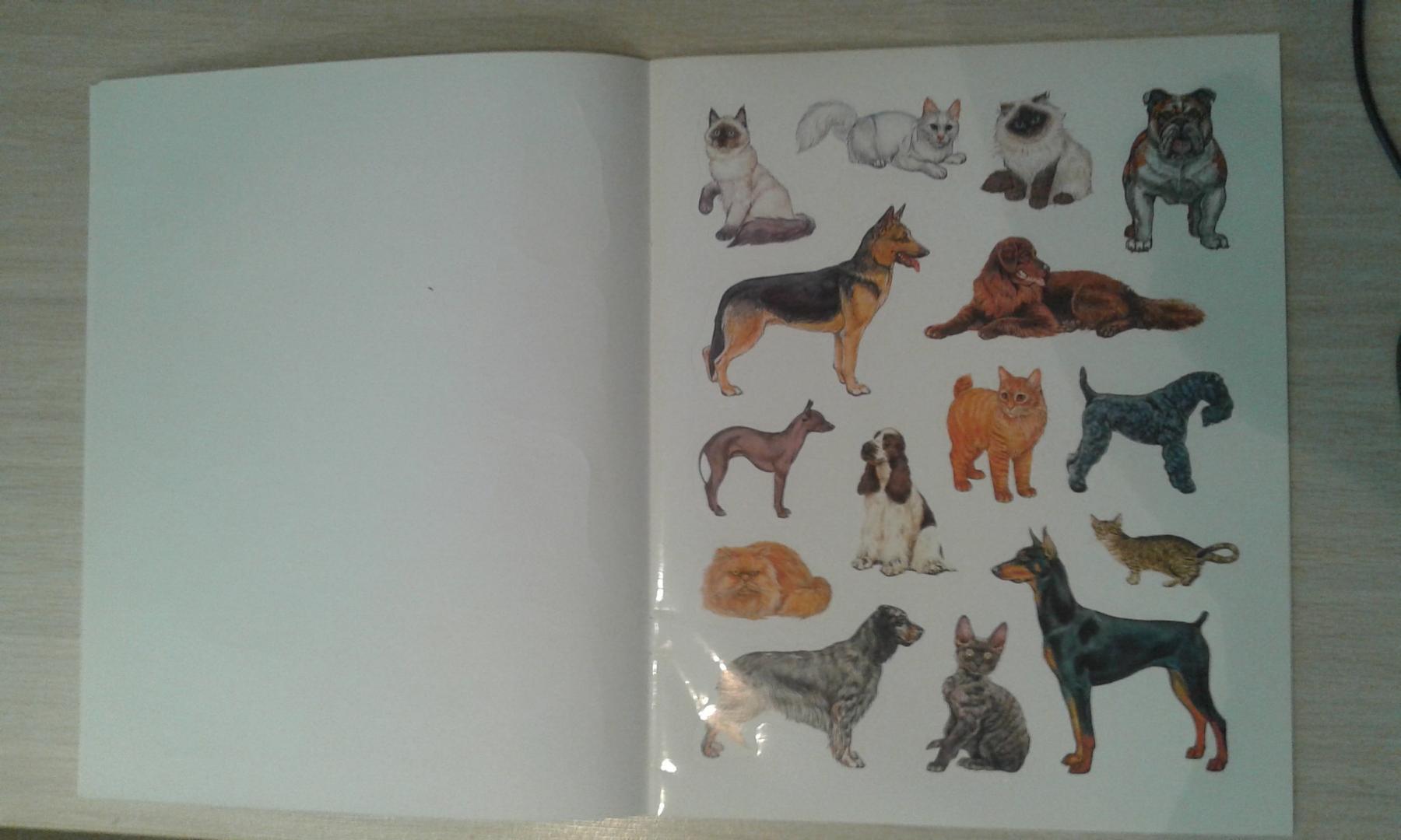 Иллюстрация 24 из 26 для Большая книга развивающих наклеек. Кошки и собаки | Лабиринт - книги. Источник: Юлия