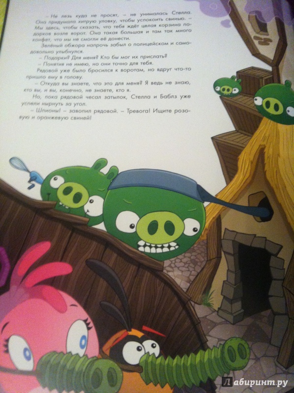 Иллюстрация 22 из 24 для Angry Birds. Стелла и волшебный амулет - Сари Пелтониеми | Лабиринт - книги. Источник: Лабиринт