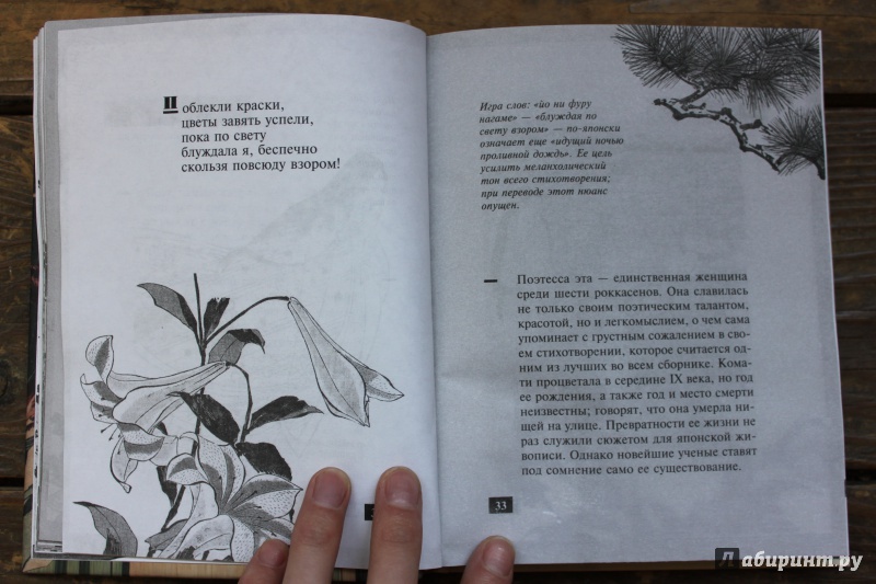 Иллюстрация 5 из 13 для Песни ста поэтов. Японская антология "Хякунин иссю" | Лабиринт - книги. Источник: veri_ta