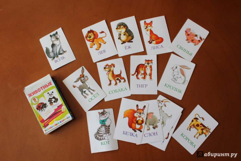 Иллюстрация 2 из 23 для Животные. Развивающие карточки | Лабиринт - игрушки. Источник: Абдрахманова Татьяна