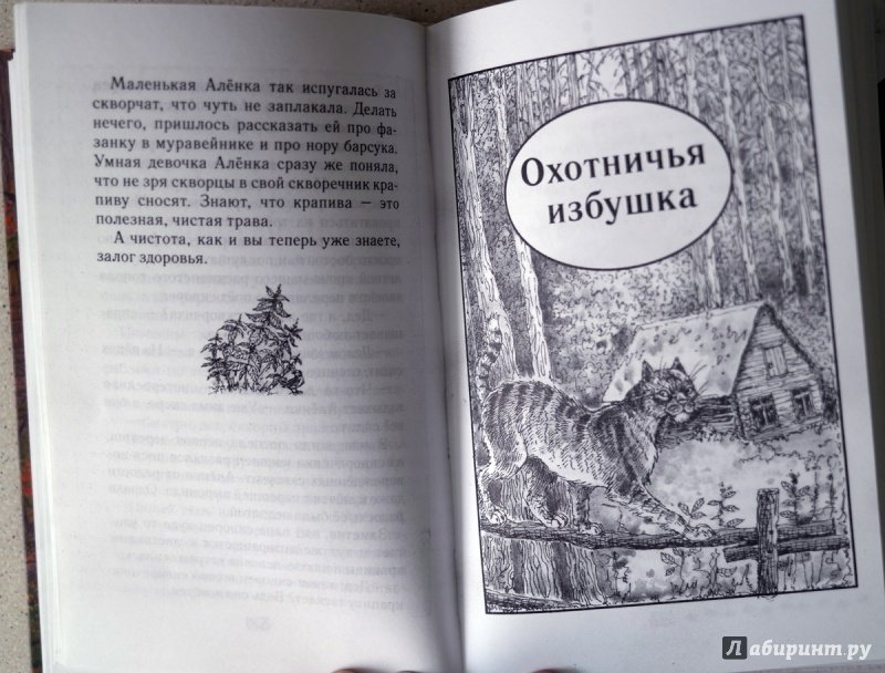 Иллюстрация 30 из 36 для Охотничья избушка - Николай Красильников | Лабиринт - книги. Источник: Elena_Nsk