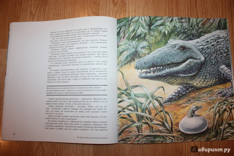 Иллюстрация 44 из 44 для Рептилии - Николай Сладков | Лабиринт - книги. Источник: Bradbury