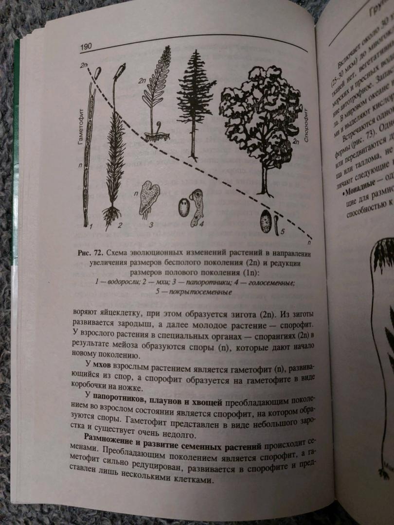 Иллюстрация 44 из 55 для Репетитор по биологии для старшеклассников и поступающих в вузы - Татьяна Шустанова | Лабиринт - книги. Источник: Лабиринт