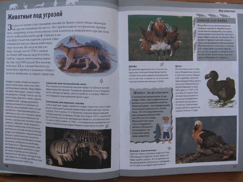 Иллюстрация 13 из 57 для Животные планеты - Кристин Лазье | Лабиринт - книги. Источник: Red cat ;)