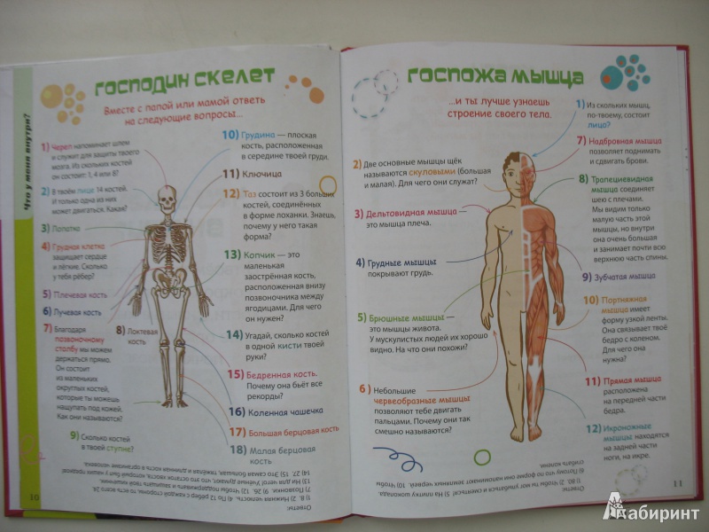 Книга тело еда. Тело человека книга. Эммануэль Лепети тело человека. Твоя первая энциклопедия тело человека.