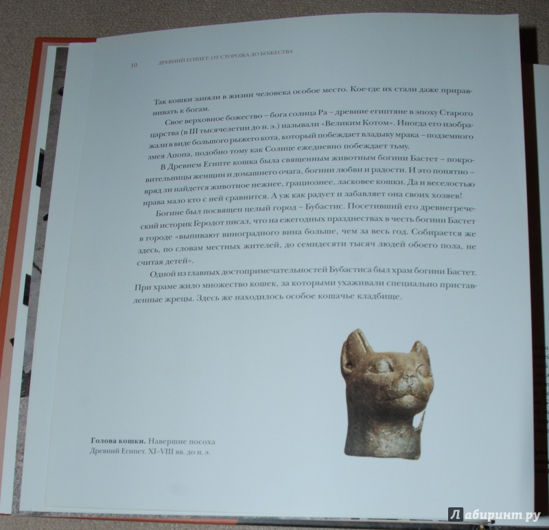 Иллюстрация 5 из 30 для Кошкин дом в Эрмитаже - Голь, Халтунен | Лабиринт - книги. Источник: Книжный кот