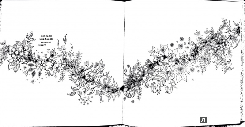 Иллюстрация 25 из 71 для Таинственный сад. Книга для творчества и вдохновения - Джоанна Бэсфорд | Лабиринт - книги. Источник: Никандрова  Анна