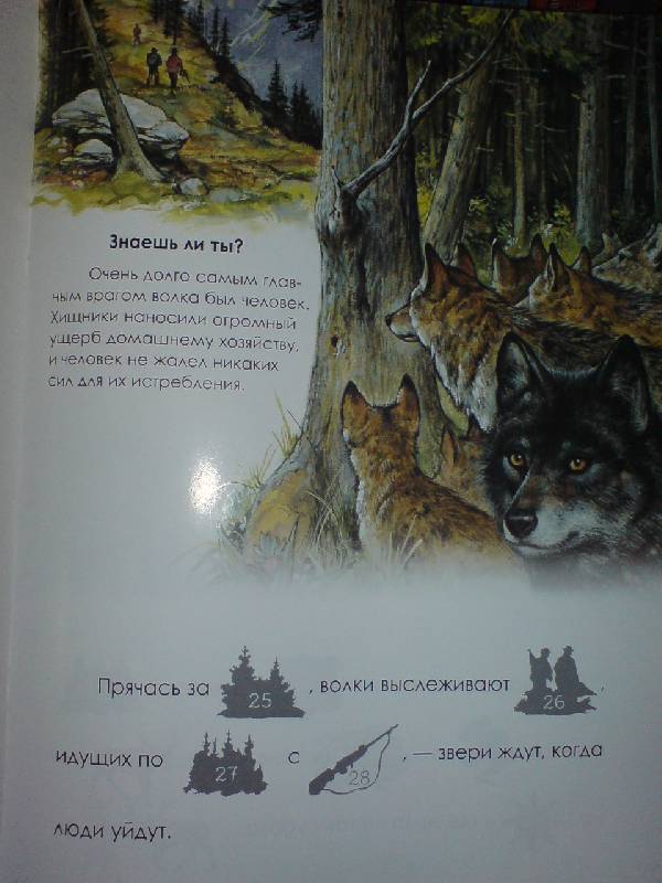 Иллюстрация 9 из 21 для Я учусь читать с наклейками. Волчонок Задира | Лабиринт - книги. Источник: Настёна