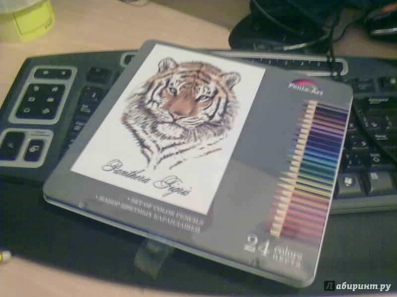 Иллюстрация 9 из 63 для Карандаши цветные "Тигр" (24 цвета, металлическая коробка) (32871) | Лабиринт - канцтовы. Источник: Натанька