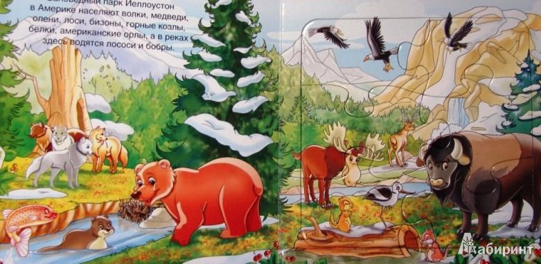 Иллюстрация 5 из 6 для Волшебный лес. Кто живет в лесу? | Лабиринт - игрушки. Источник: ОксанаШ