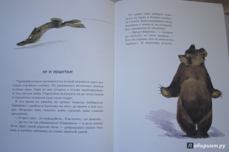 Иллюстрация 36 из 54 для Зачем ежу колючки - Вениамин Росин | Лабиринт - книги. Источник: kolobus