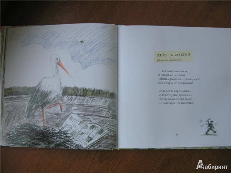 Иллюстрация 28 из 46 для Апельсинные корки - Мария Моравская | Лабиринт - книги. Источник: Левит  .