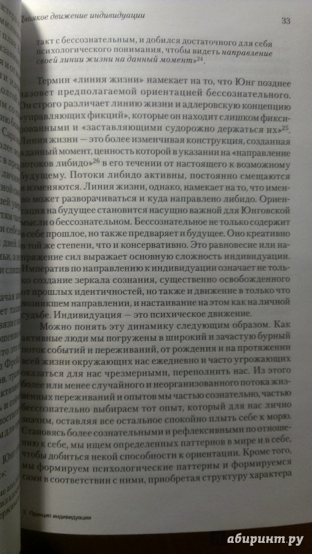 Иллюстрация 2 из 10 для Принцип индивидуации. О развитии человеческого сознания - Стайн Мюррей | Лабиринт - книги. Источник: Юлия