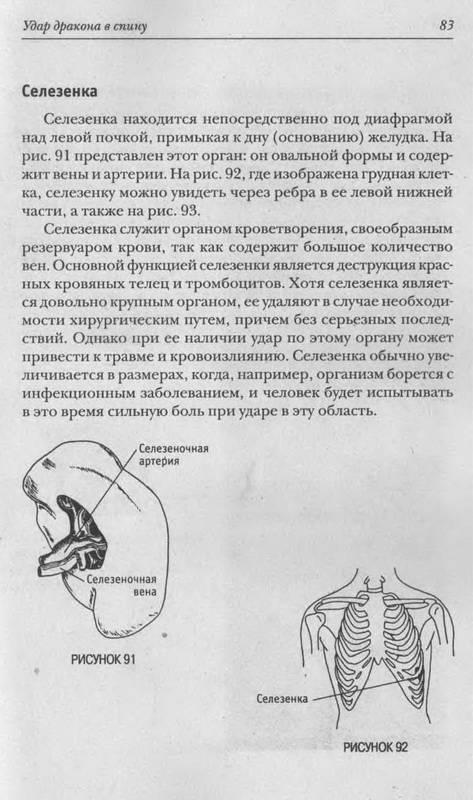 Иллюстрация 6 из 10 для Прикосновение дракона: Уязвимые места человеческого тела - Лун Хей | Лабиринт - книги. Источник: Ялина