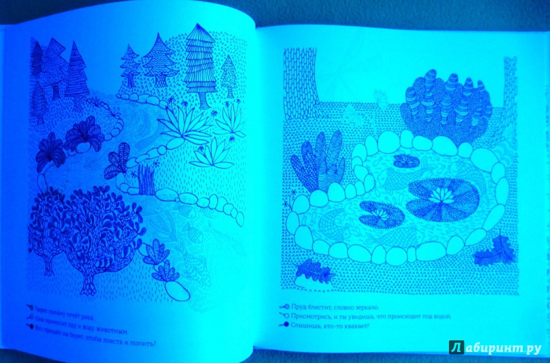 Иллюстрация 81 из 92 для Кто прячется в лесу? - Айна Бестард | Лабиринт - книги. Источник: reader*s
