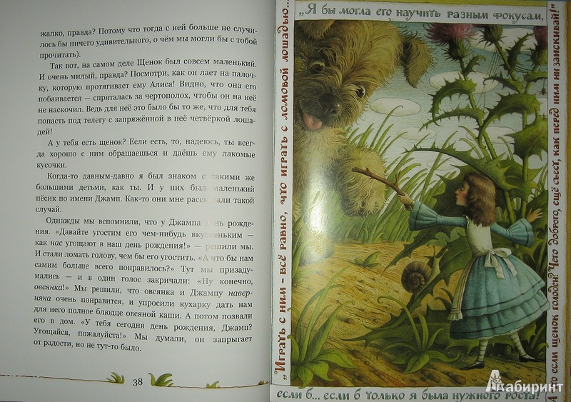 Иллюстрация 11 из 77 для Приключения Алисы в Стране чудес, рассказанные для маленьких читателей самим автором - Льюис Кэрролл | Лабиринт - книги. Источник: Трухина Ирина