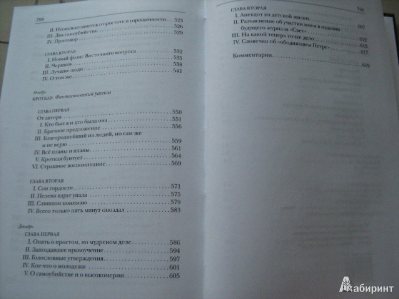 Иллюстрация 28 из 49 для Дневник писателя. Компл в 2-х томах - Федор Достоевский | Лабиринт - книги. Источник: Mashutka