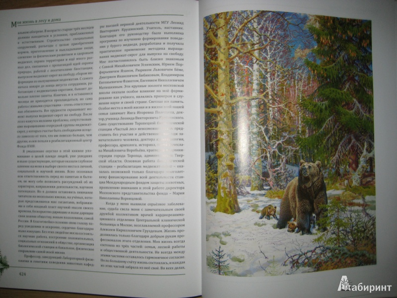 Иллюстрация 16 из 48 для Моя жизнь в лесу и дома - Валентин Пажетнов | Лабиринт - книги. Источник: Макарова  Елена