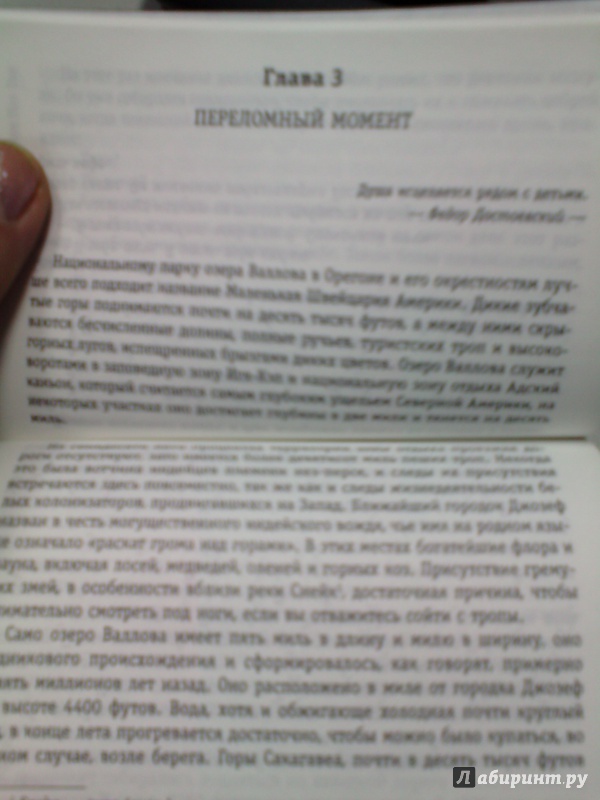 Иллюстрация 19 из 24 для Хижина - Уильям Янг | Лабиринт - книги. Источник: Klementinchen