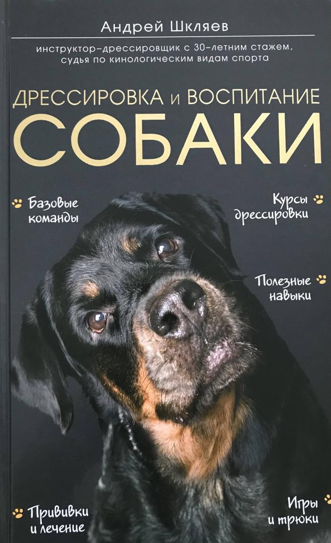 Иллюстрация 24 из 30 для Дрессировка и воспитание собаки - Андрей Шкляев | Лабиринт - книги. Источник: Л  С