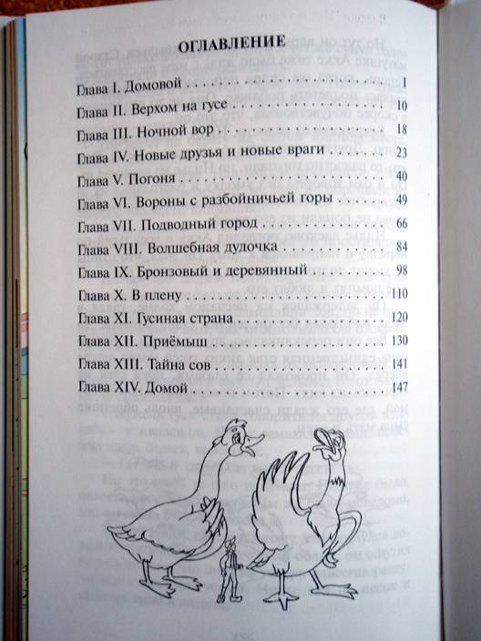 Иллюстрация 46 из 46 для Чудесное путешествие Нильса с дикими гусями - Сельма Лагерлеф | Лабиринт - книги. Источник: beet