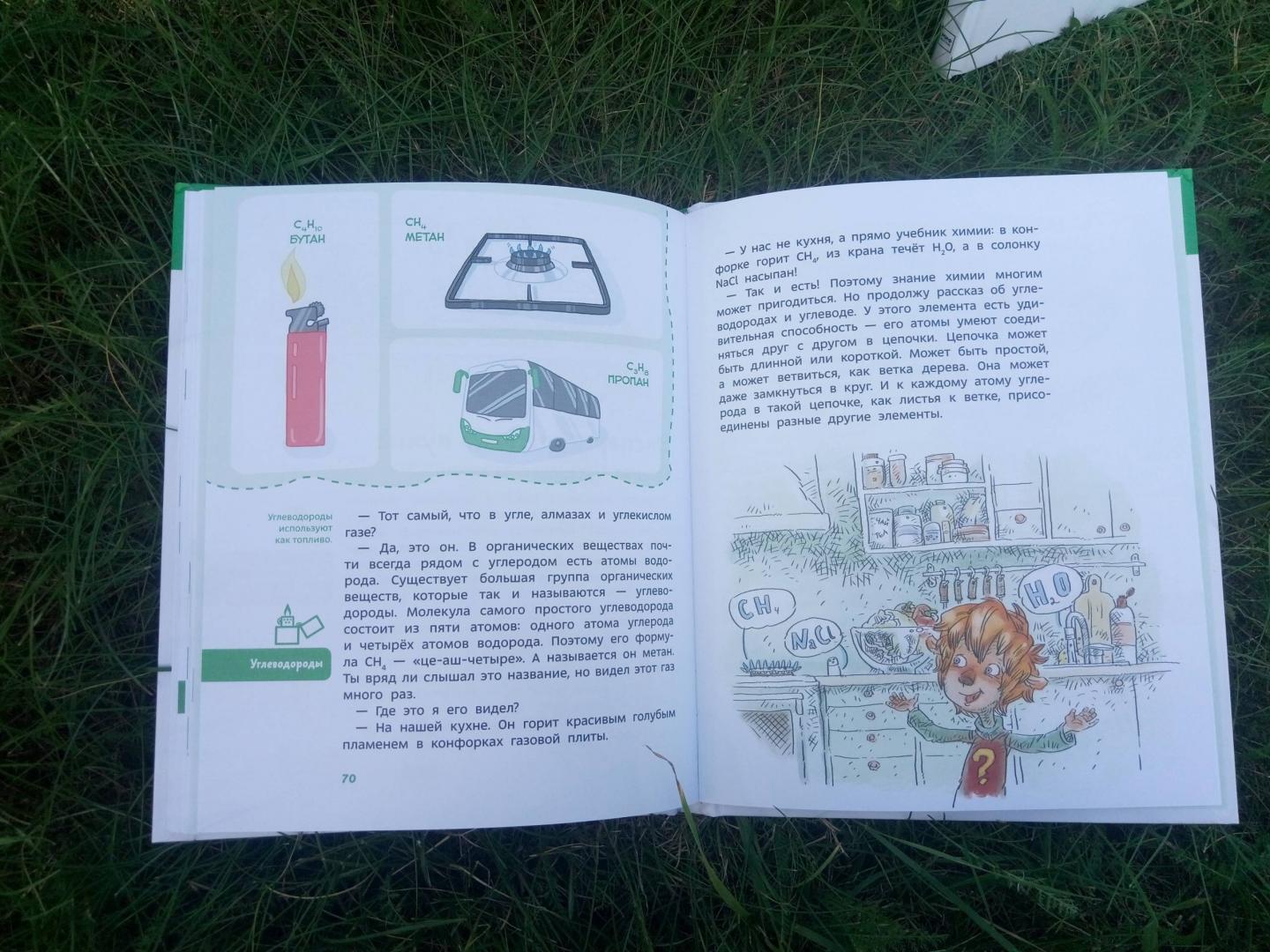 Иллюстрация 40 из 69 для Увлекательная химия - Елена Качур | Лабиринт - книги. Источник: Королева  Мария