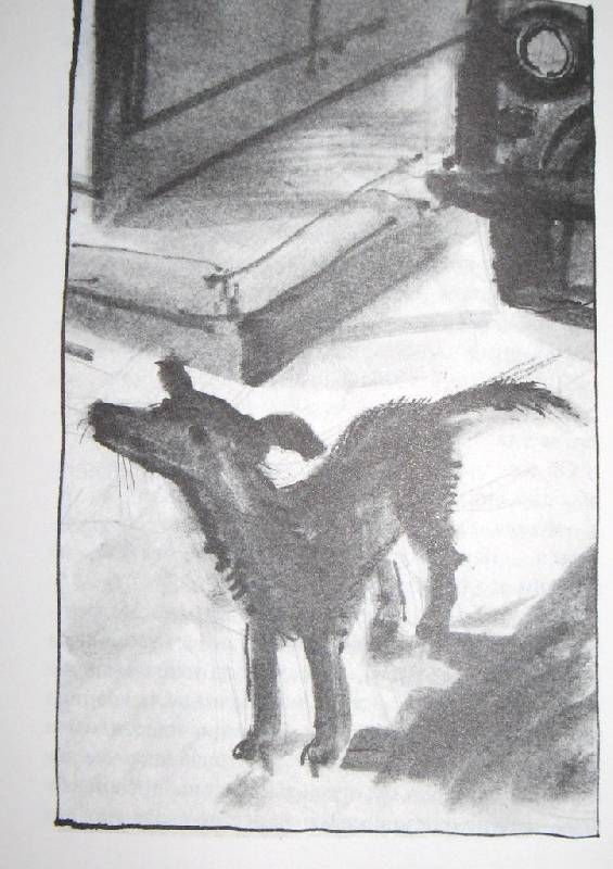 Иллюстрация 23 из 25 для Собака Пес - Даниэль Пеннак | Лабиринт - книги. Источник: Читательница