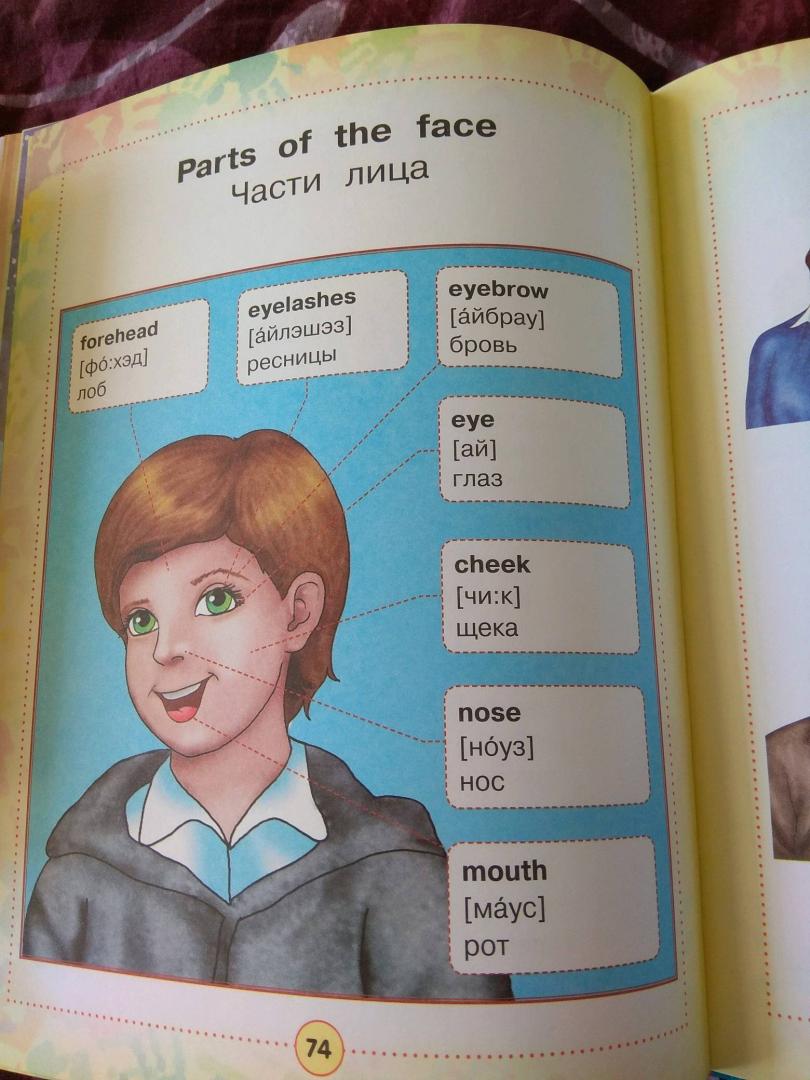 Иллюстрация 45 из 46 для Англо-русский визуальный словарь для детей | Лабиринт - книги. Источник: Саратцева Светлана