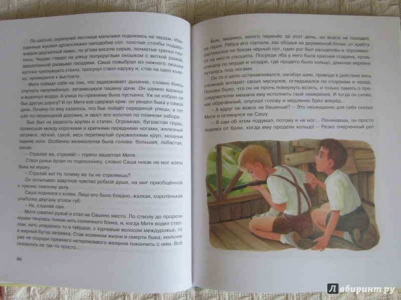 Иллюстрация 20 из 38 для Рассказы для детей - Юрий Нагибин | Лабиринт - книги. Источник: ЮлияО