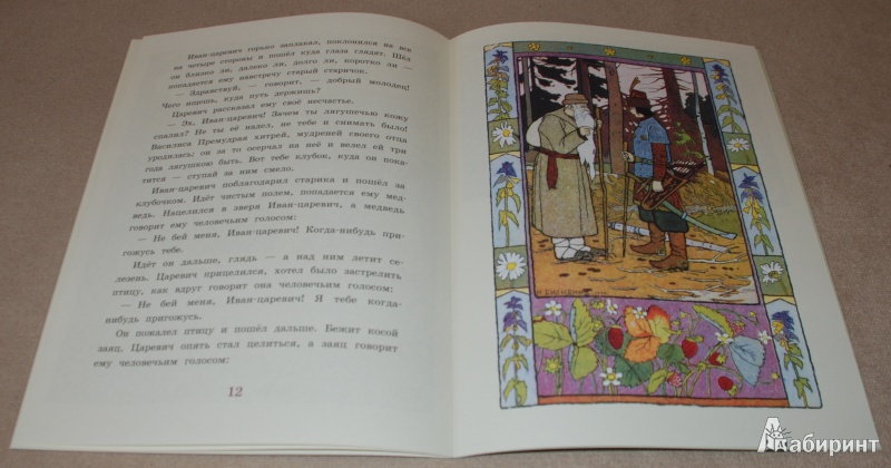 Иллюстрация 8 из 19 для Царевна-Лягушка | Лабиринт - книги. Источник: Книжный кот