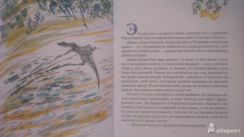 Иллюстрация 3 из 45 для Сказки с далеких берегов - Редьярд Киплинг | Лабиринт - книги. Источник: Katty