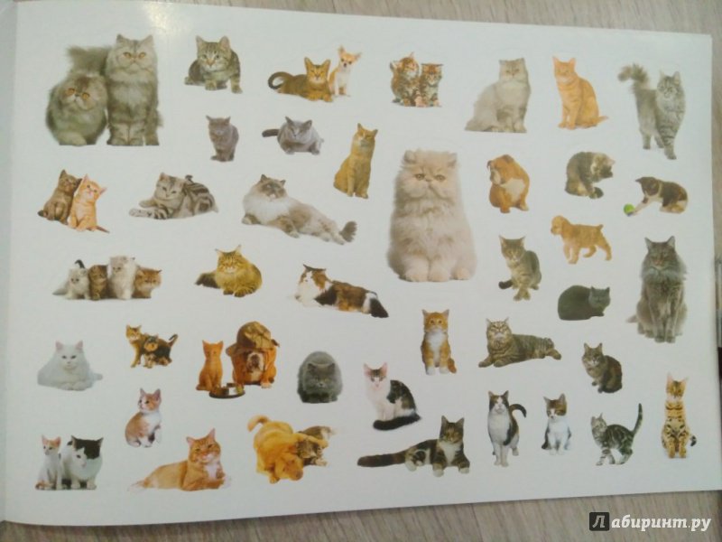 Иллюстрация 7 из 21 для Любимые кошки и собаки | Лабиринт - книги. Источник: Тайна