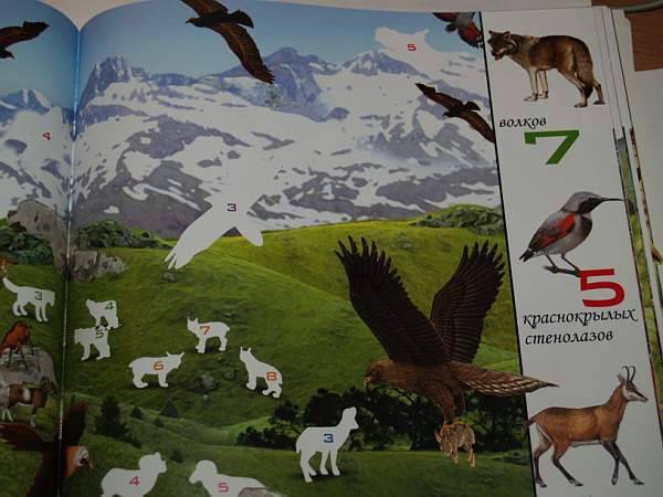 Иллюстрация 13 из 29 для 1000 животных с наклейками | Лабиринт - книги. Источник: Cовушка