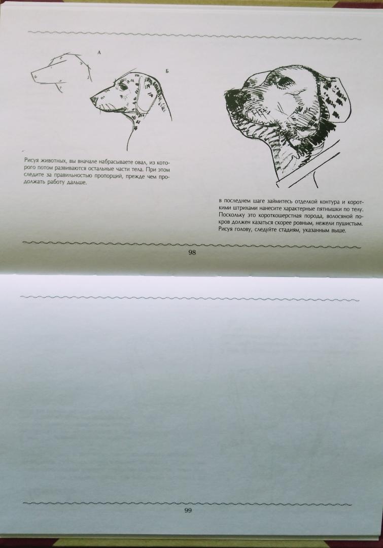 Иллюстрация 17 из 19 для Основы рисования. Альбом для скетчинга | Лабиринт - книги. Источник: Надёжа