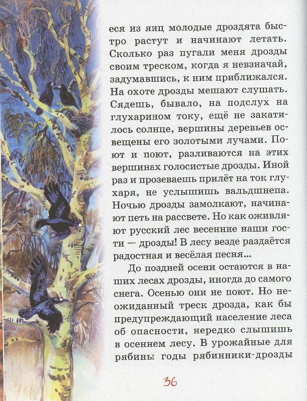 Иллюстрация 22 из 32 для Русский лес - Иван Соколов-Микитов | Лабиринт - книги. Источник: Igra