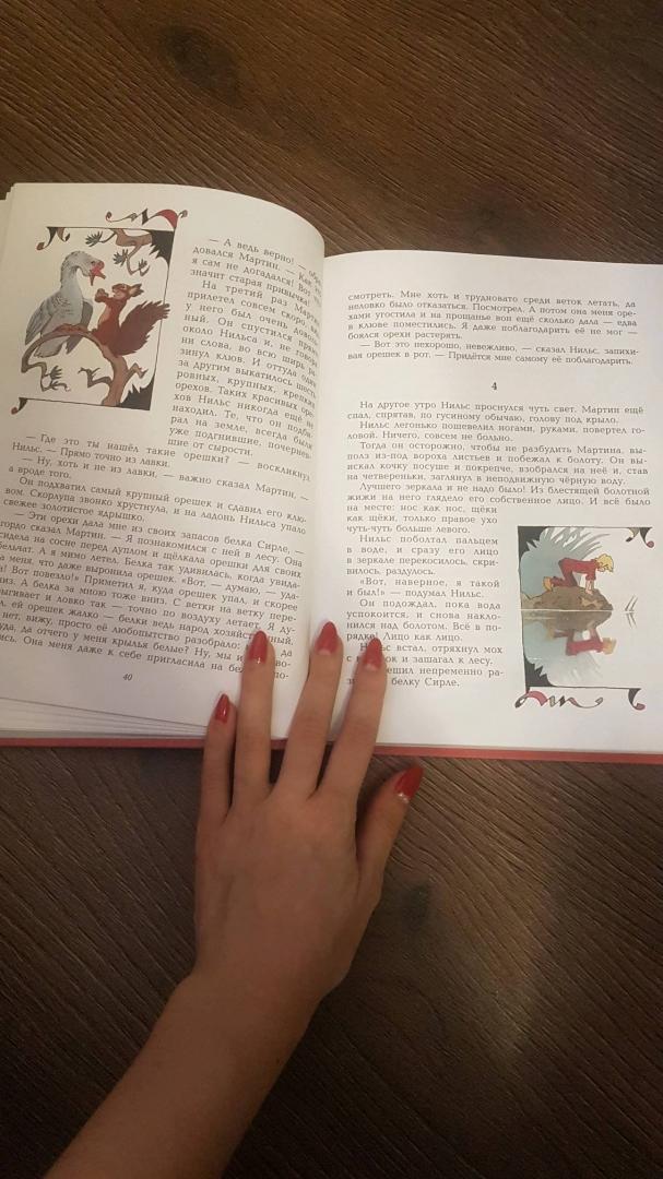 Иллюстрация 27 из 34 для Чудесное путешествие Нильса с дикими гусями - Сельма Лагерлеф | Лабиринт - книги. Источник: Мишина Светлана