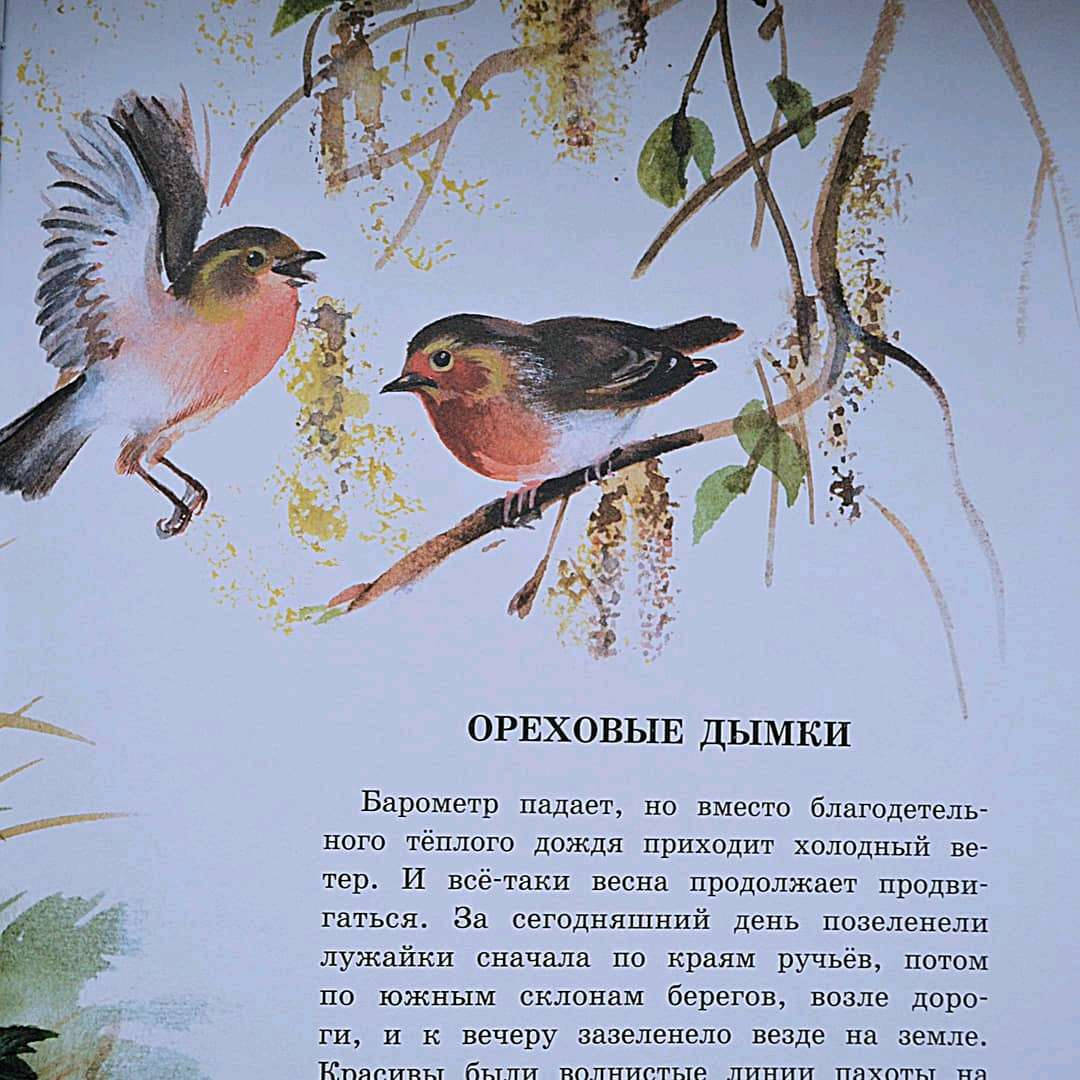 Иллюстрация 52 из 54 для Беличья память - Михаил Пришвин | Лабиринт - книги. Источник: Зайкова Дарья