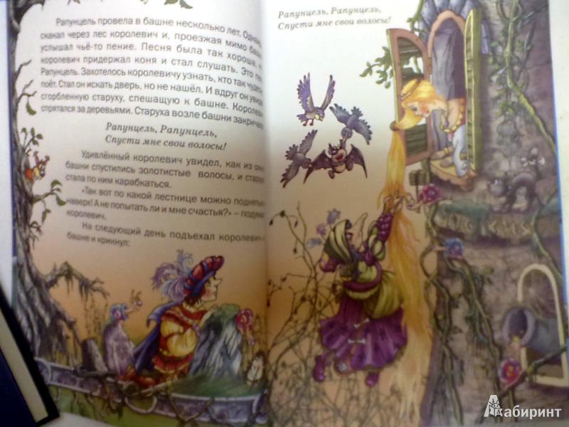 Иллюстрация 4 из 29 для Сказки - Гримм Якоб и Вильгельм | Лабиринт - книги. Источник: Kassavetes