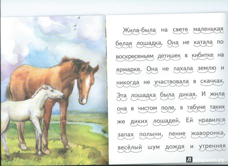 Произведение про коня. Сказки про лошадей для детей. Детские рассказы про лошадей. Рассказ про лошадь для детей. Лошадка рассказ для детей.