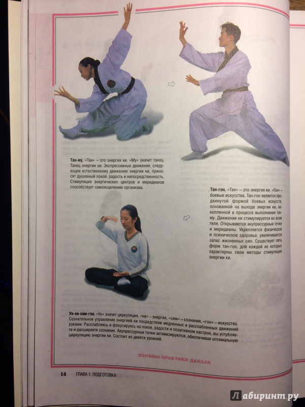 Иллюстрация 16 из 17 для Данхак. Меридианная гимнастика для самоисцеления - Ли Ильчи | Лабиринт - книги. Источник: Margo7X