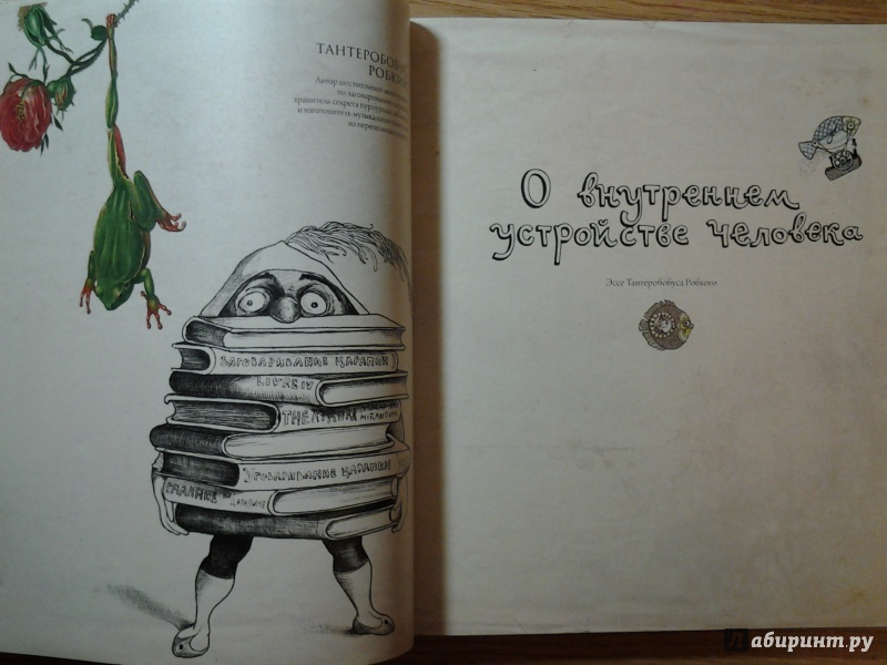 Иллюстрация 39 из 70 для Книга, найденная в кувшинке - Светлана Дорошева | Лабиринт - книги. Источник: Olga