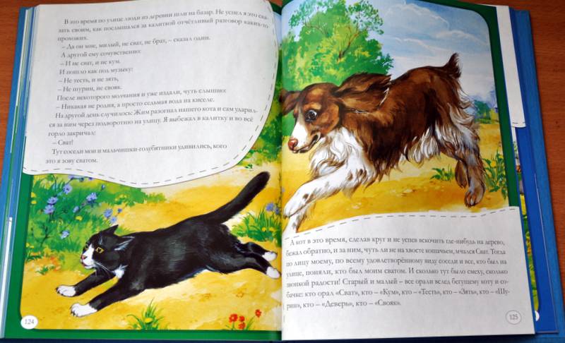 Иллюстрация 26 из 44 для Рассказы о животных для маленьких - Михаил Пришвин | Лабиринт - книги. Источник: Ассоль