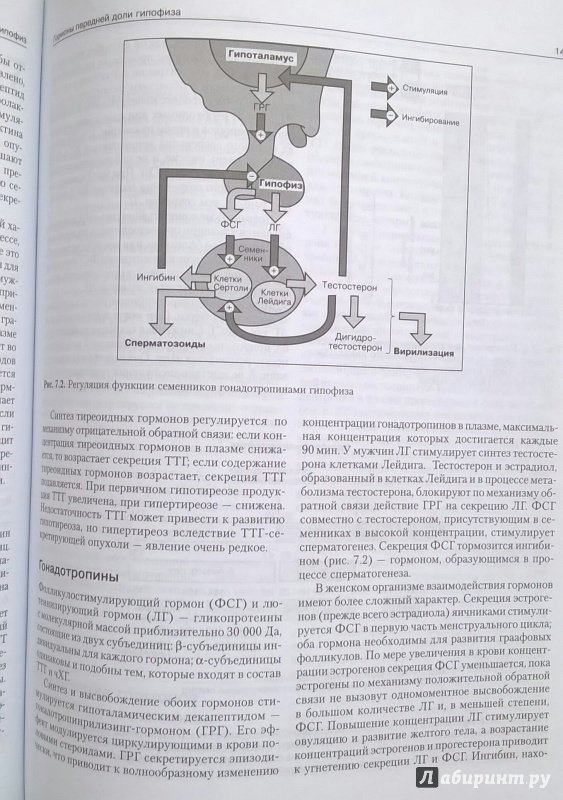 Иллюстрация 22 из 28 для Клиническая биохимия - Маршалл, Бангерт | Лабиринт - книги. Источник: Angreniel