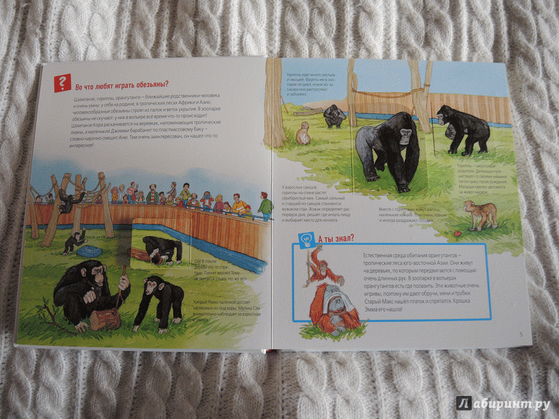 Иллюстрация 3 из 40 для Животные в зоопарке - Забине Шук | Лабиринт - книги. Источник: Качелкина Ксения Валерьевна